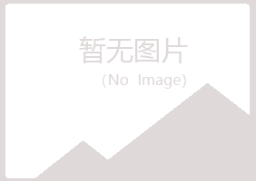 白山夏日会计有限公司